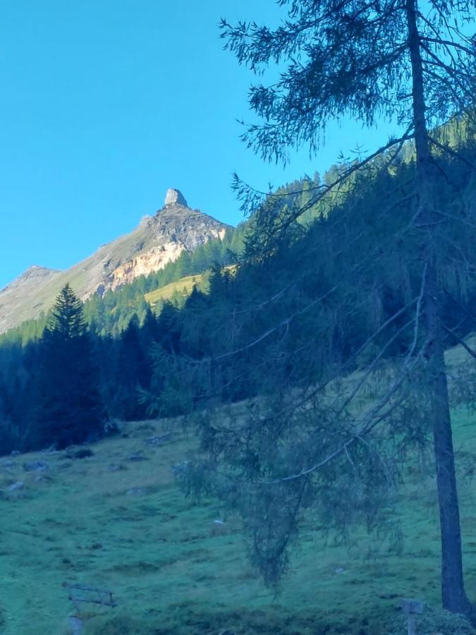 Schernthaner Таксенбах Экстерьер фото